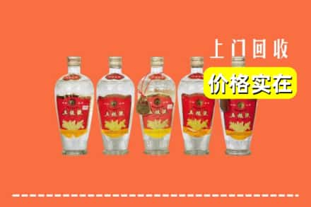 怀化市鹤城回收老五粮液